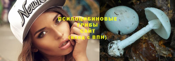 прущая мука Армянск