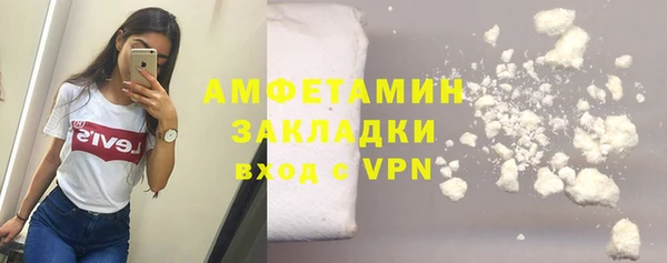 шишки Аркадак