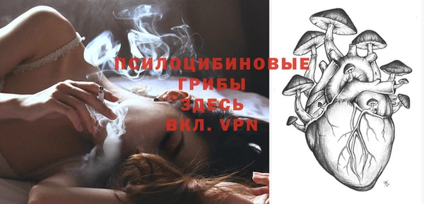 шишки Аркадак
