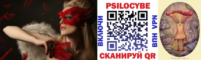 omg tor  даркнет наркотические препараты  Сибай  Галлюциногенные грибы GOLDEN TEACHER  купить наркоту 
