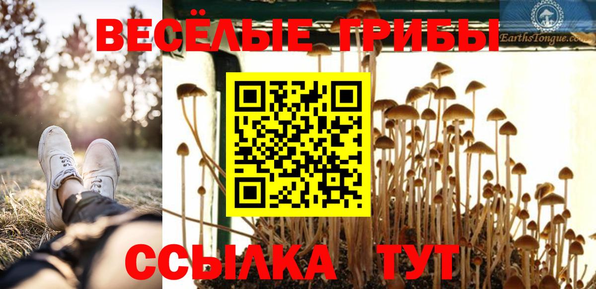 Псилоцибиновые грибы прущие грибы Сибай