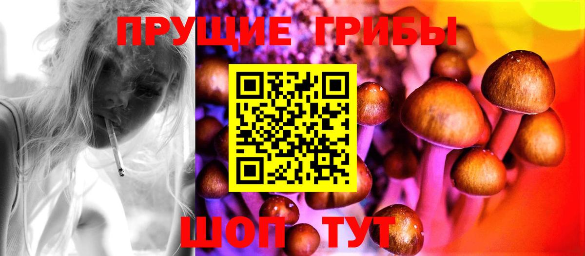 Сибай  Псилоцибиновые грибы Cubensis  закладки  Вход с VPN 